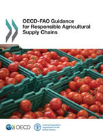 OECD-FAO guidance for responsible agricultural supply chains