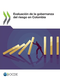 Evaluación de la Gobernanza del Riesgo En Colombia