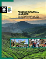 Assessing global land use