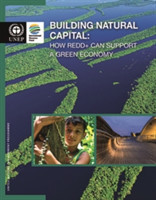 Building natural capital