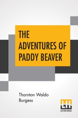 Adventures Of Paddy Beaver