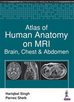 Atlas of Human Anatomy on MRI
