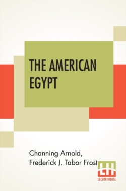 American Egypt