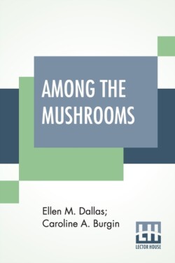 Among The Mushrooms