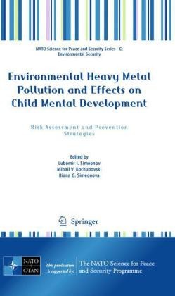 Environmental Heavy Metal Pollution and Effects on Child Mental Development