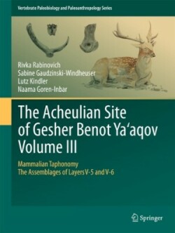 Acheulian Site of Gesher Benot  Ya‘aqov  Volume III