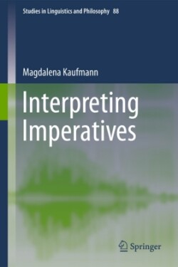 Interpreting Imperatives
