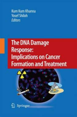 DNA Damage Response: Implications on Cancer Formation and Treatment