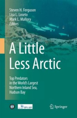 Little Less Arctic