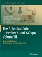 Acheulian Site of Gesher Benot  Ya‘aqov  Volume III