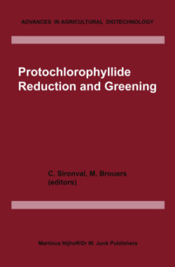 Protochlorophyllide Reduction and Greening