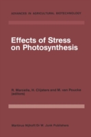 Effects of Stress on Photosynthesis