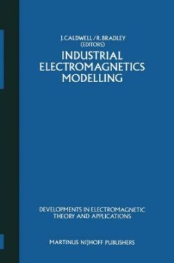 Industrial Electromagnetics Modelling