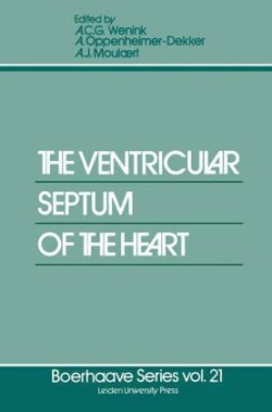 Ventricular Septum of the Heart