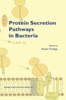 Protein Secretion Pathways in Bacteria