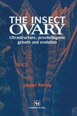 Insect Ovary