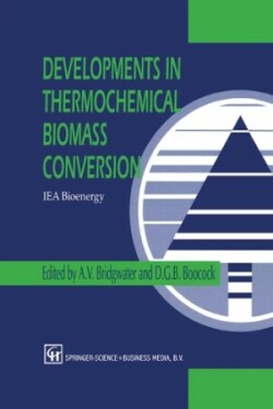 Developments in Thermochemical Biomass Conversion