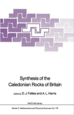 Synthesis of the Caledonian Rocks of Britain