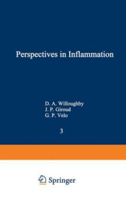 Perspectives in Inflammation