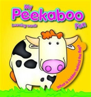 Peekaboo Fun Learning Words