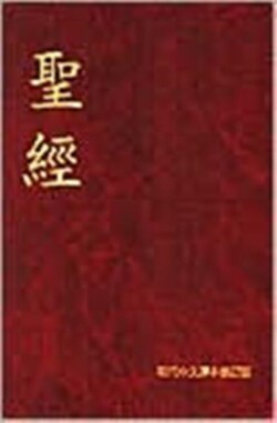 Today's Chinese Bible