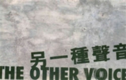 Other Voice