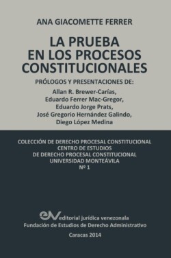 Pruebas En Los Procesos Constitucionales