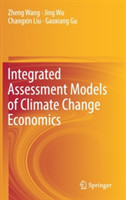 Integrated Assessment Models of Climate Change Economics