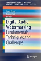 Digital Audio Watermarking