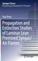 Propagation and Extinction Studies of Laminar Lean Premixed Syngas/Air Flames