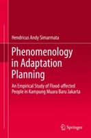 Phenomenology in Adaptation Planning