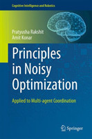 Principles in Noisy Optimization