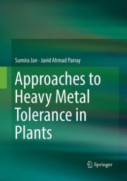 Approaches to Heavy Metal Tolerance in Plants