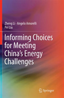 Informing Choices for Meeting China’s Energy Challenges