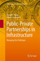 Public-Private Partnerships in Infrastructure