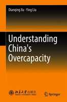 Understanding China's  Overcapacity