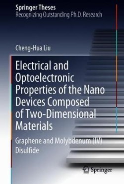 Electrical and Optoelectronic Properties of the Nanodevices Composed of Two-Dimensional Materials