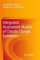 Integrated Assessment Models of Climate Change Economics