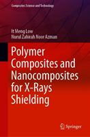 Polymer Composites and Nanocomposites for  X-Rays Shielding