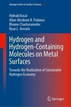 Hydrogen and Hydrogen-Containing Molecules on Metal Surfaces