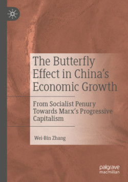 Butterfly Effect in China’s Economic Growth