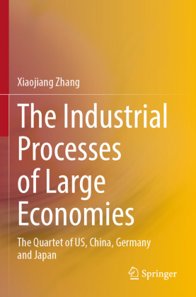 Industrial Processes of Large Economies