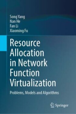 Resource Allocation in Network Function Virtualization