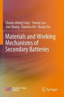 Materials and Working Mechanisms of Secondary Batteries