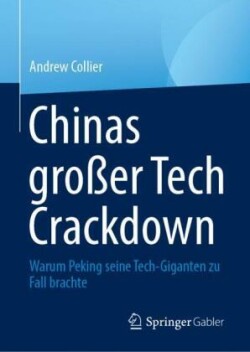 Chinas großer Tech Crackdown