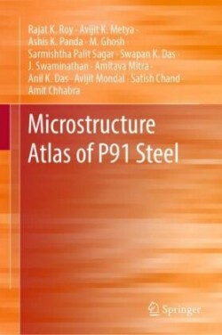 Microstructure Atlas of P91 Steel