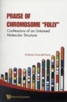 Praise Of Chromosome "Folly": Confessions Of An Untamed Molecular Structure