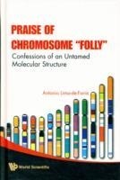 Praise Of Chromosome "Folly": Confessions Of An Untamed Molecular Structure