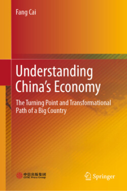 Understanding China's Economy