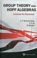 Group Theory And Hopf Algebras: Lectures For Physicists